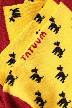 SKARPETKI DAMSKIE – TAILY