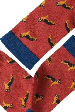 SKARPETKI MĘSKIE – AKITA